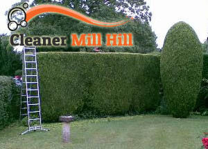 Hedge Maintenance NW7